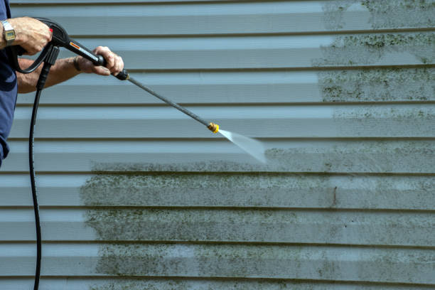 Professional Pressure Washing Services in Lake Wynonah, PA